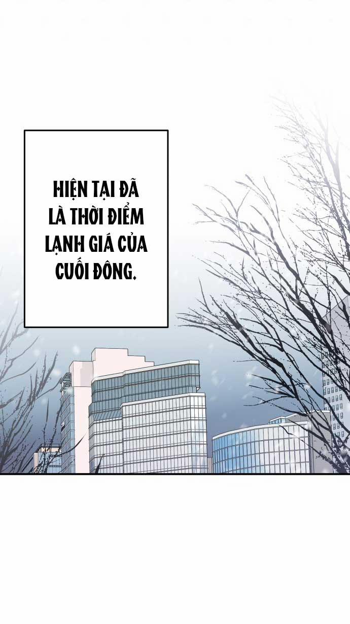 Gửi Em Người Đánh Cắp Những Vì Sao - To You Who Swallowed A Star 143.1 trang 38