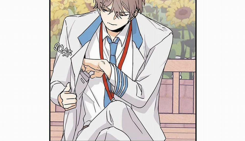 Guide Cấp B 10 trang 113