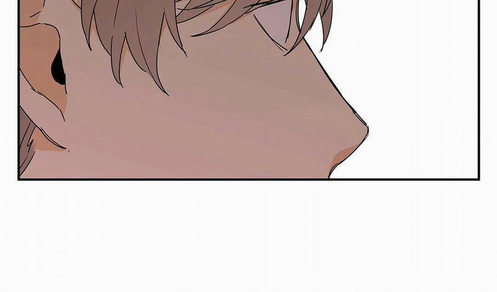 Guide Cấp B 10 trang 21