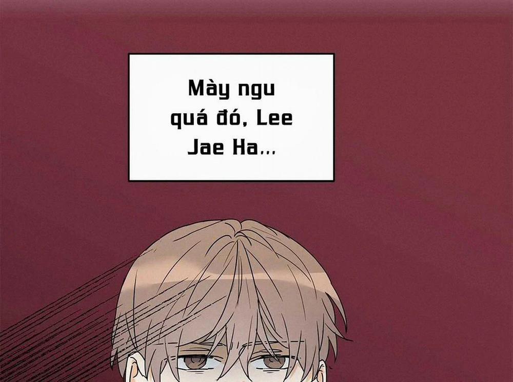 Guide Cấp B 10 trang 39