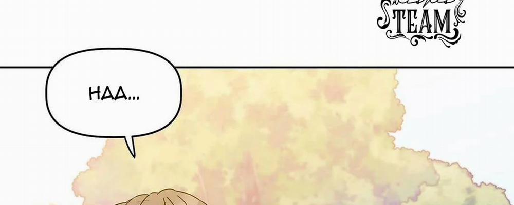 Guide Cấp B 11 trang 29