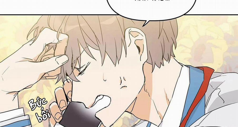 Guide Cấp B 11 trang 4