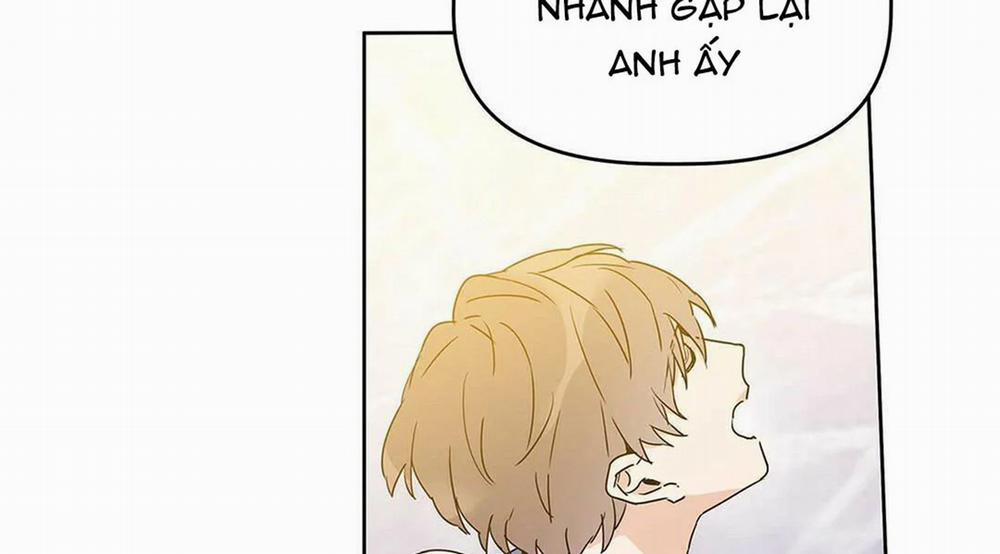 Guide Cấp B 11 trang 43