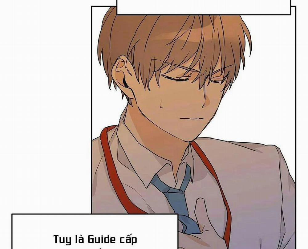 Guide Cấp B 12 trang 81