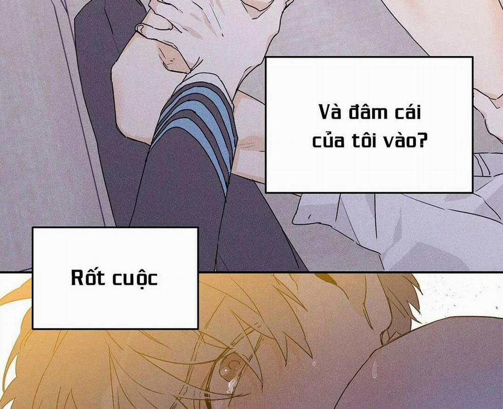 Guide Cấp B 13 trang 15