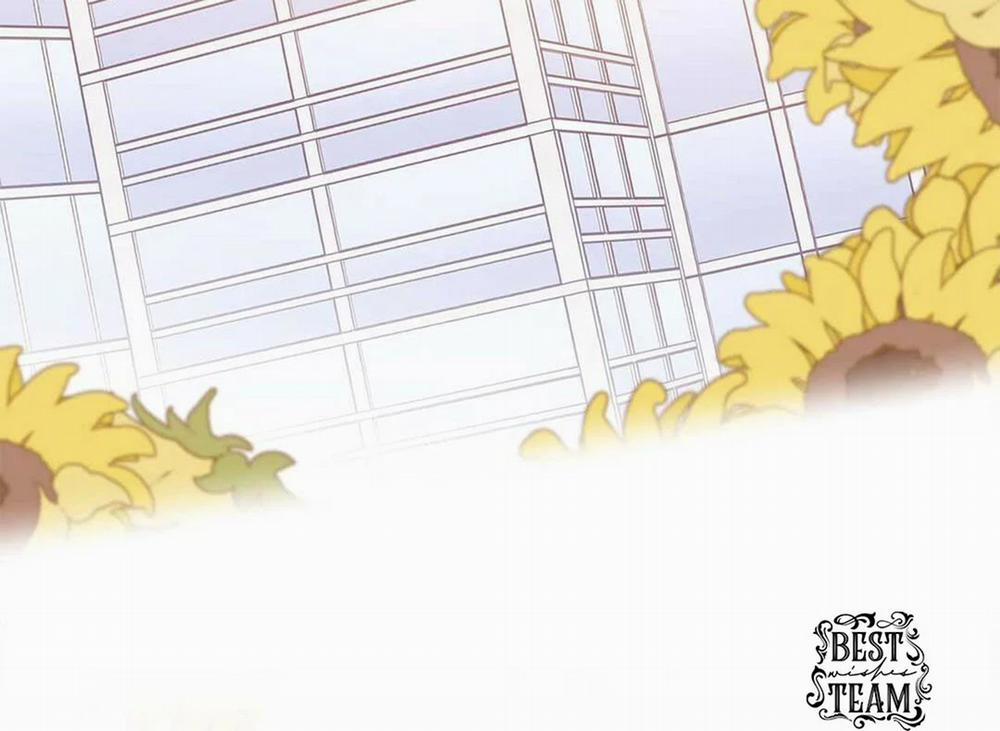 Guide Cấp B 13 trang 94