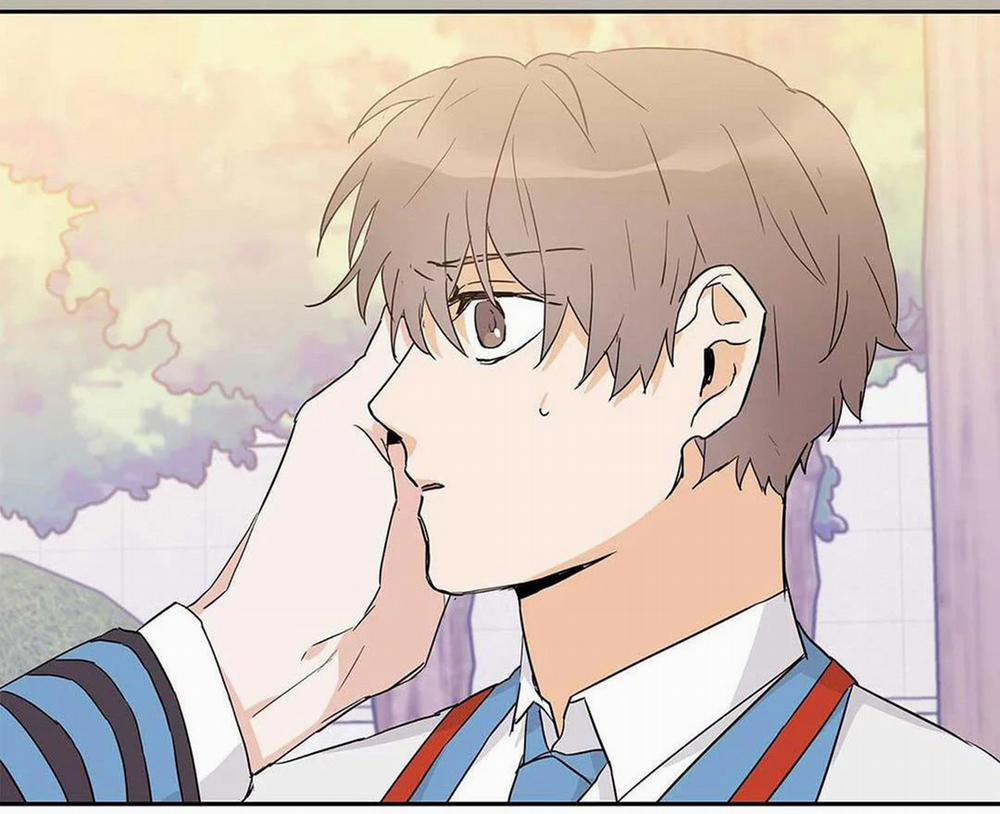 Guide Cấp B 14 trang 105