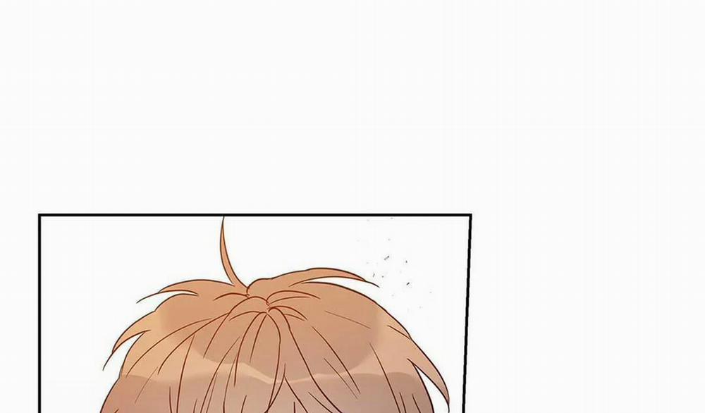 Guide Cấp B 14 trang 36