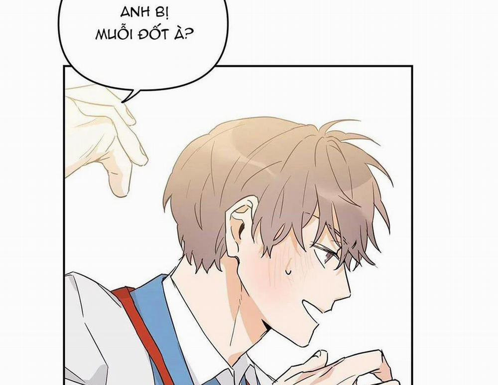 Guide Cấp B 14 trang 49