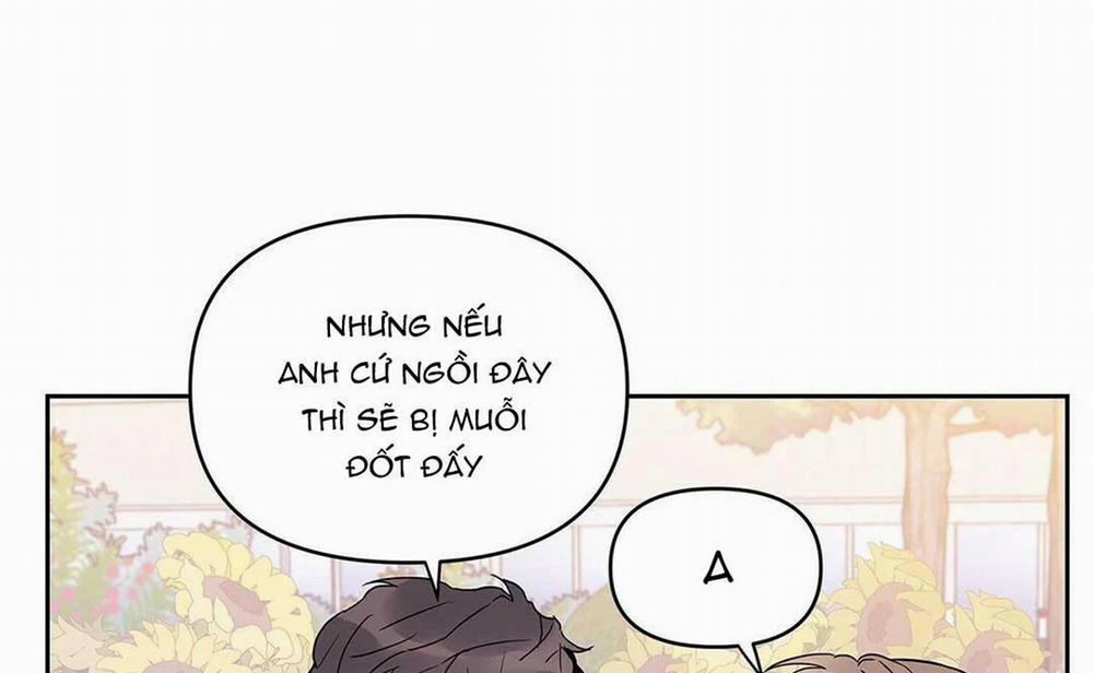 Guide Cấp B 14 trang 51