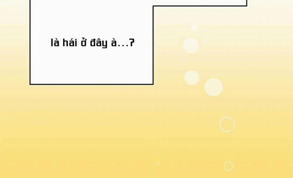 Guide Cấp B 14 trang 8