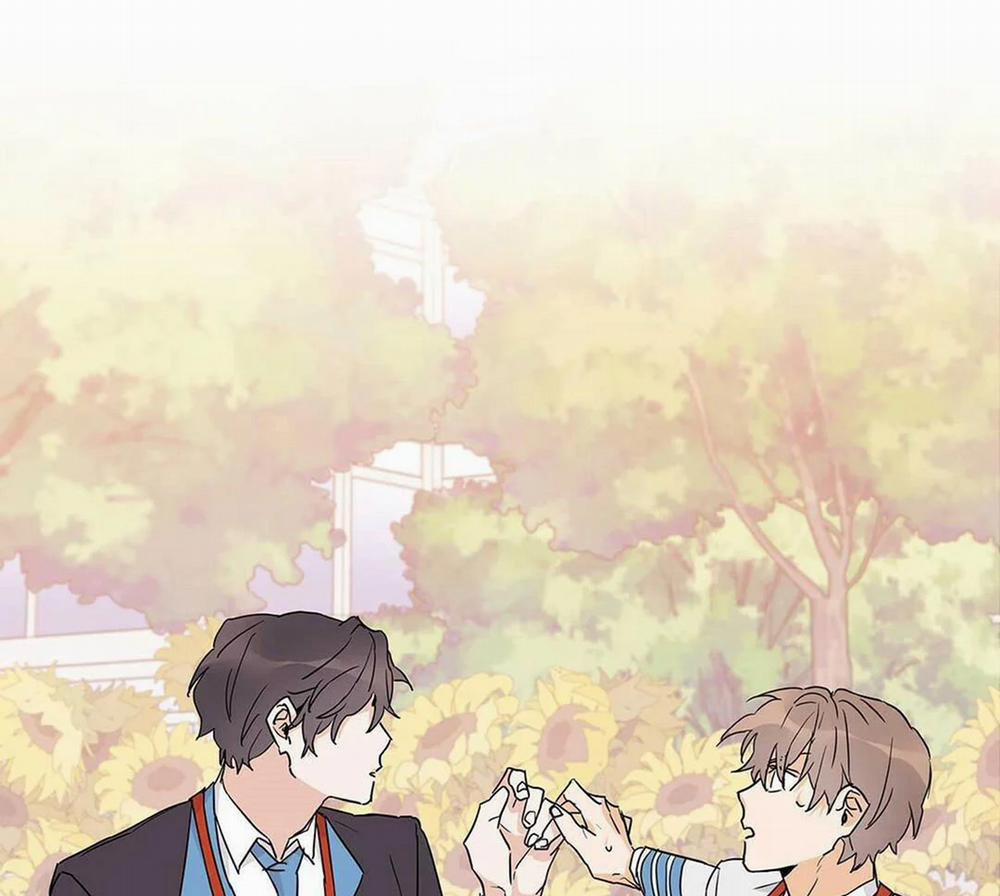 Guide Cấp B 14 trang 81