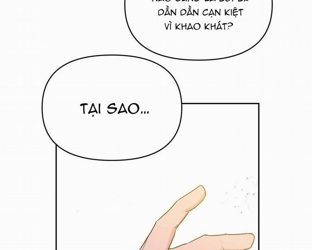 Guide Cấp B 14 trang 99