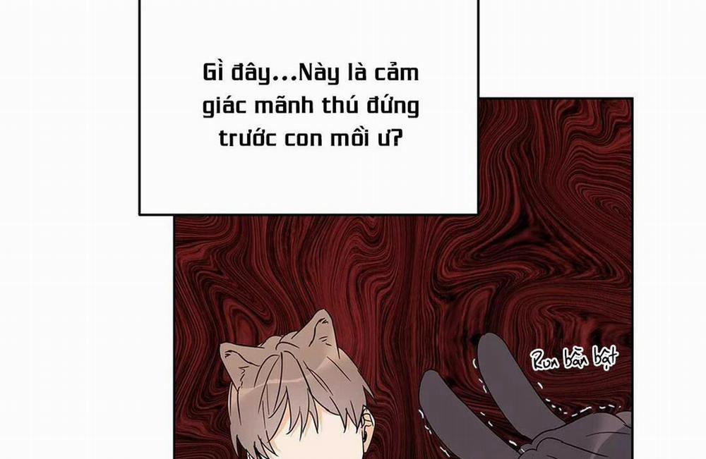 Guide Cấp B 15 trang 108