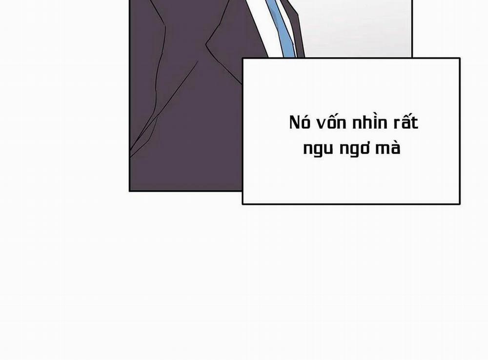 Guide Cấp B 15 trang 148