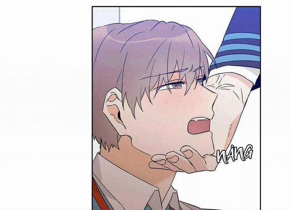 Guide Cấp B 16 trang 114