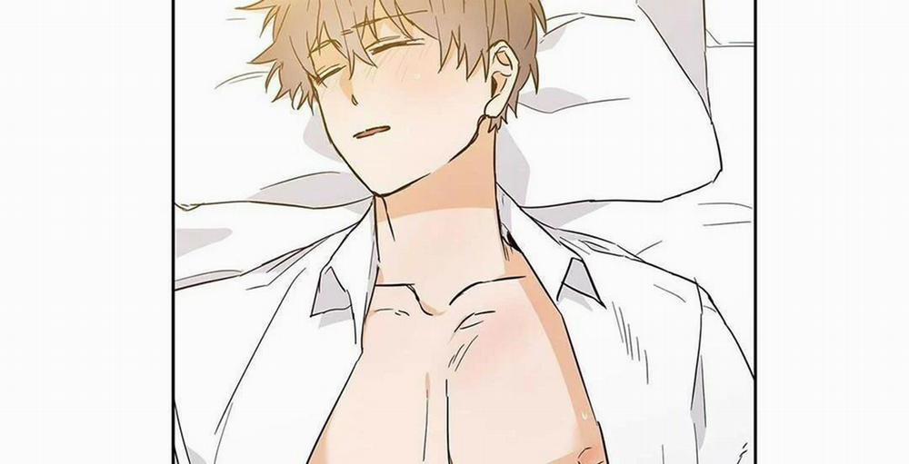 Guide Cấp B 17 trang 29