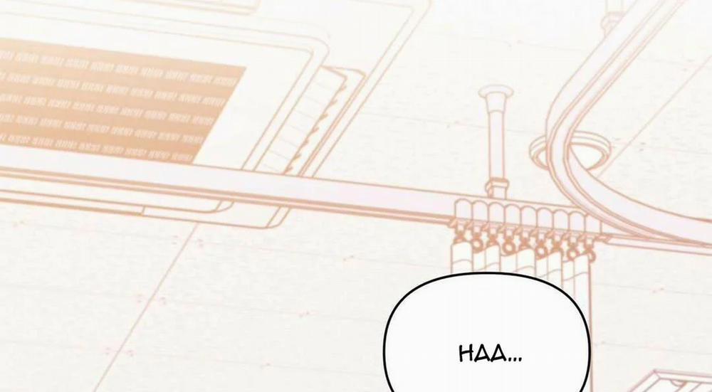 Guide Cấp B 17 trang 34