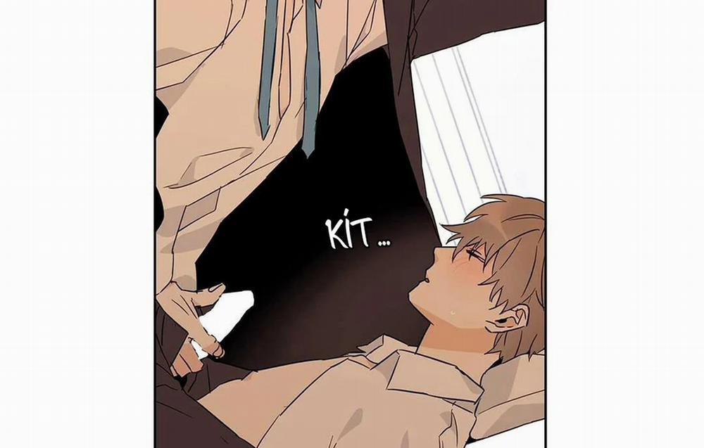 Guide Cấp B 17 trang 40