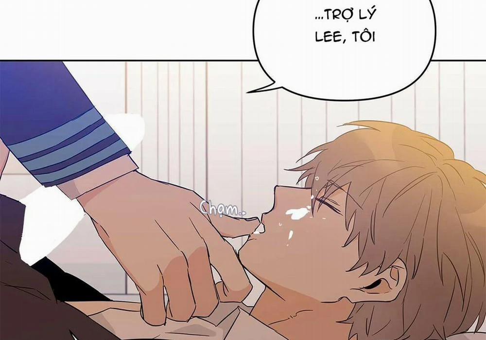 Guide Cấp B 17 trang 46