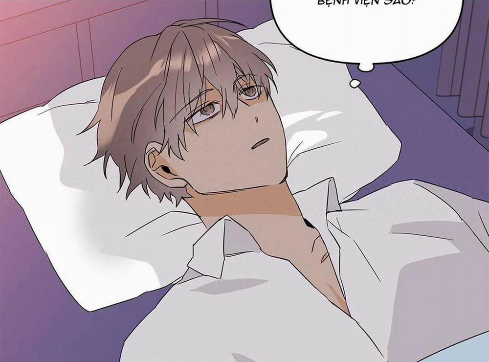 Guide Cấp B 17 trang 60