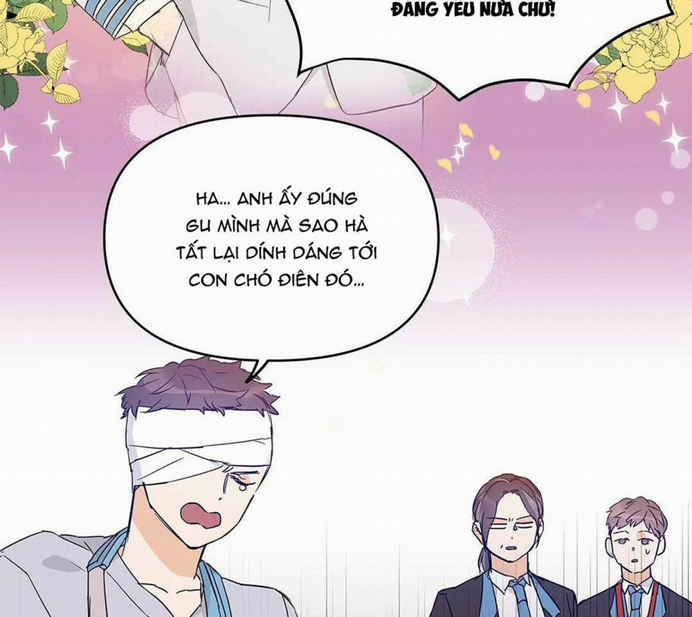 Guide Cấp B 18 trang 15