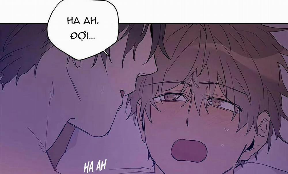 Guide Cấp B 20 trang 118