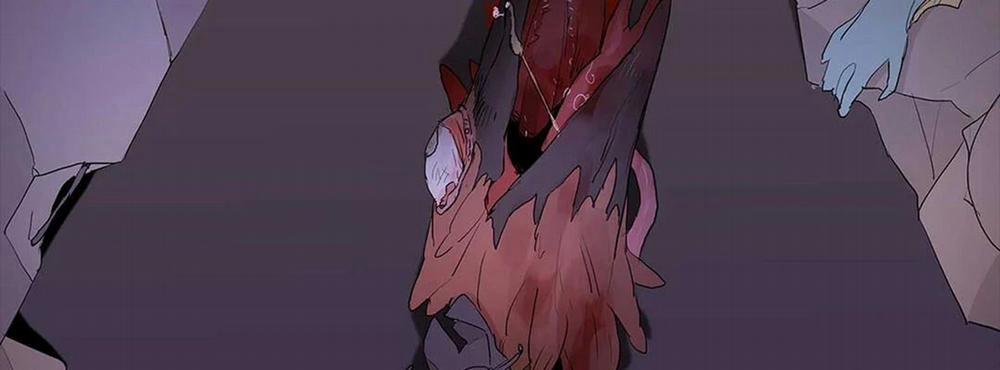 Guide Cấp B 20 trang 6