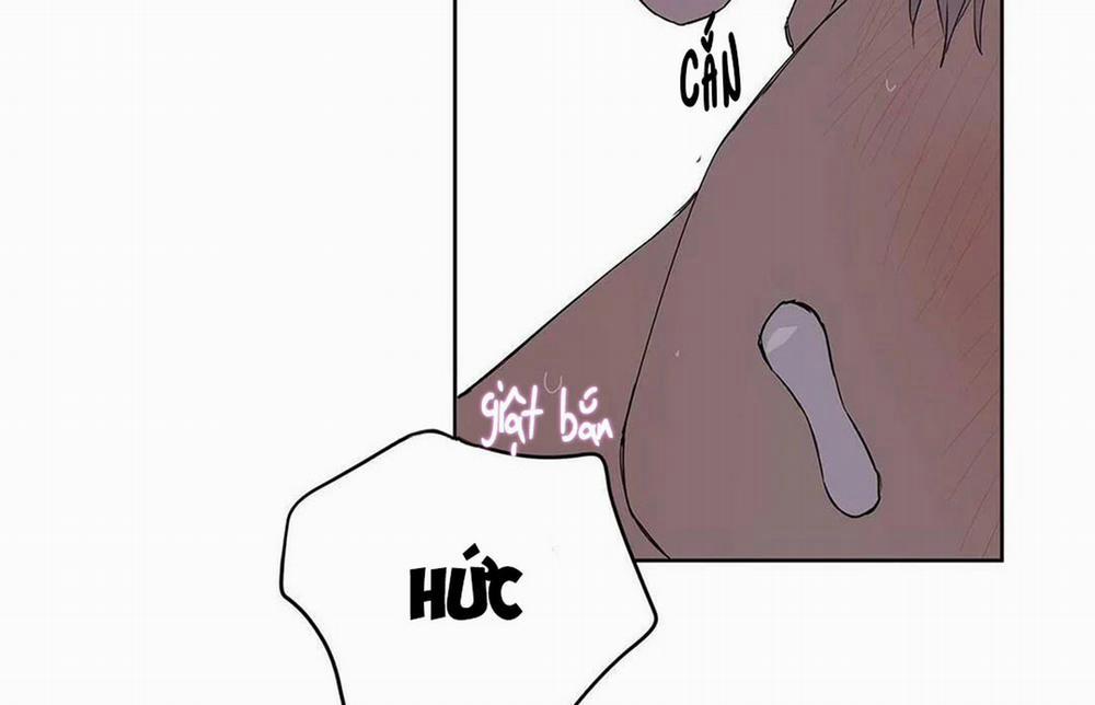 Guide Cấp B 21 trang 101