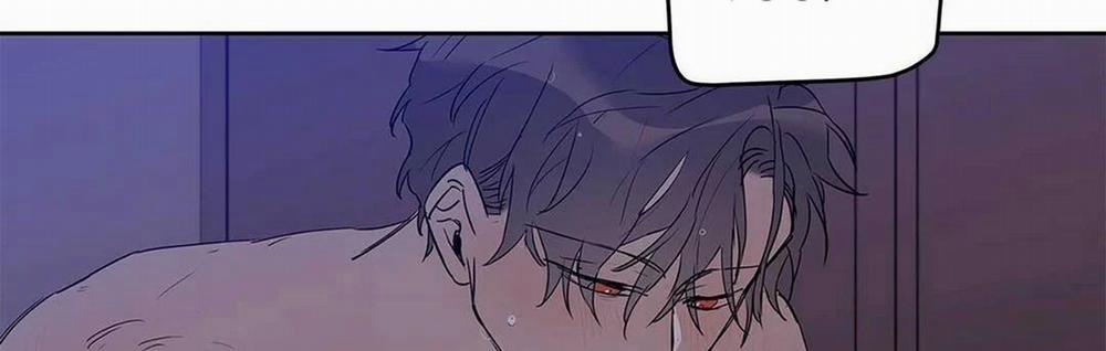 Guide Cấp B 21 trang 110