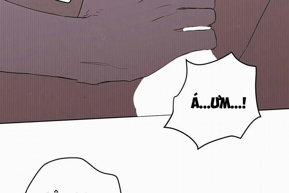 Guide Cấp B 21 trang 115