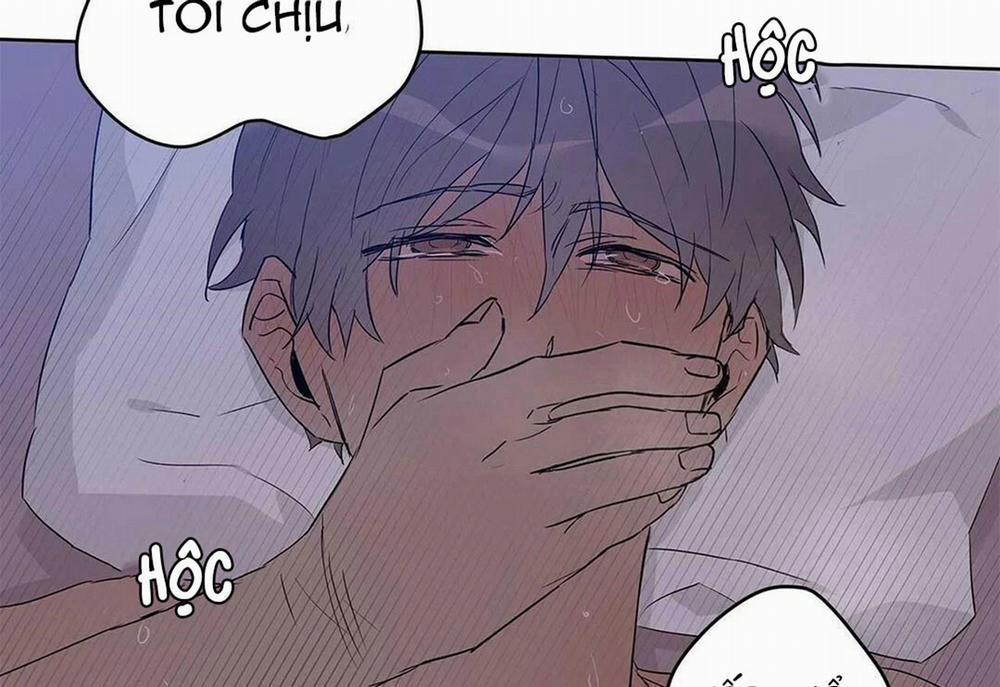 Guide Cấp B 21 trang 116