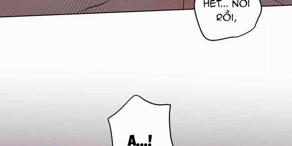 Guide Cấp B 21 trang 117