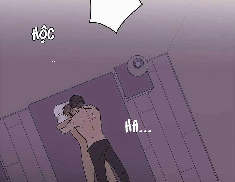 Guide Cấp B 21 trang 118