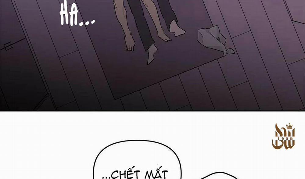 Guide Cấp B 21 trang 119