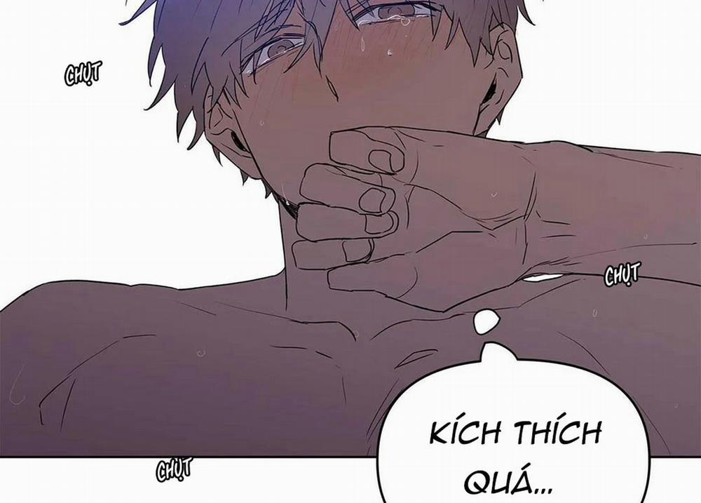 Guide Cấp B 21 trang 4