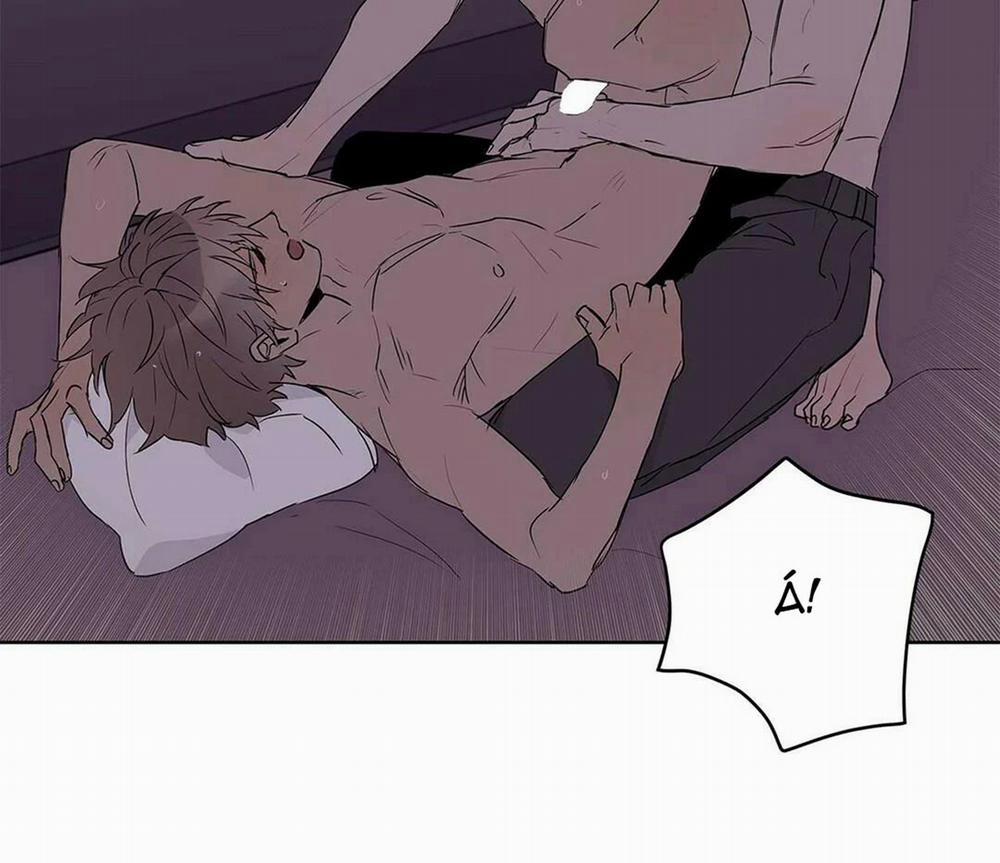 Guide Cấp B 21 trang 40