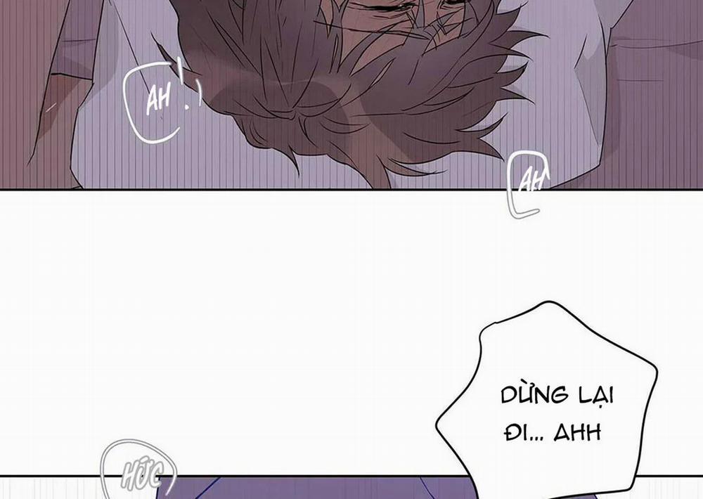 Guide Cấp B 21 trang 46