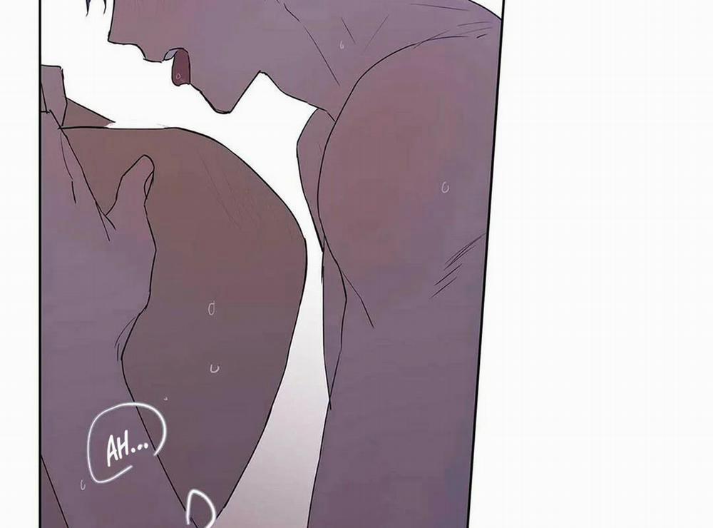 Guide Cấp B 21 trang 49