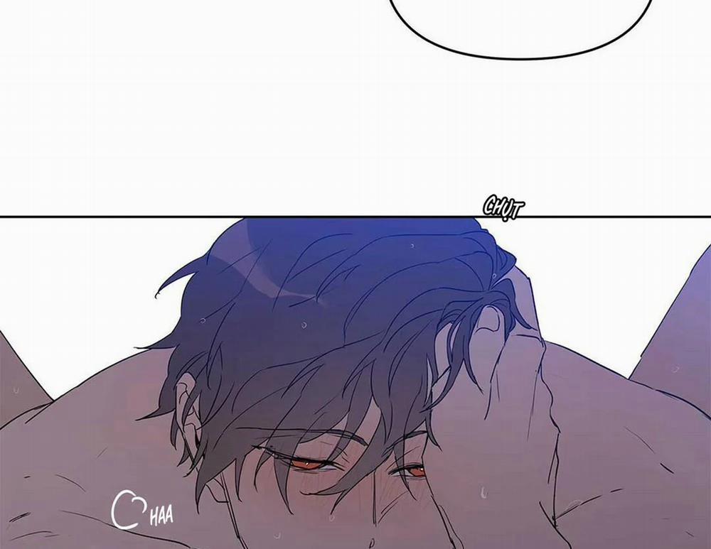 Guide Cấp B 21 trang 5