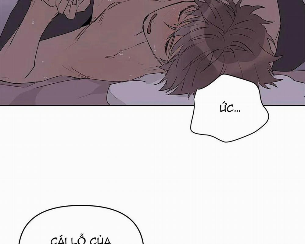 Guide Cấp B 21 trang 53