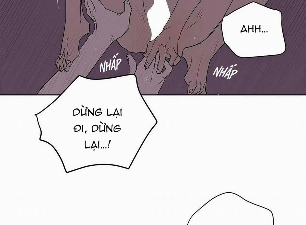 Guide Cấp B 21 trang 62