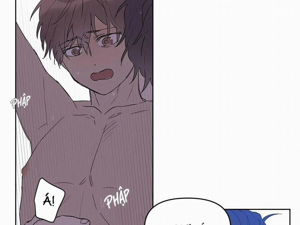 Guide Cấp B 22 trang 16