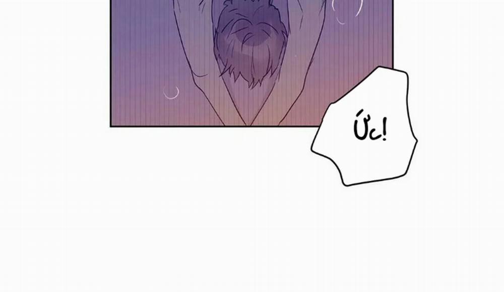 Guide Cấp B 22 trang 29