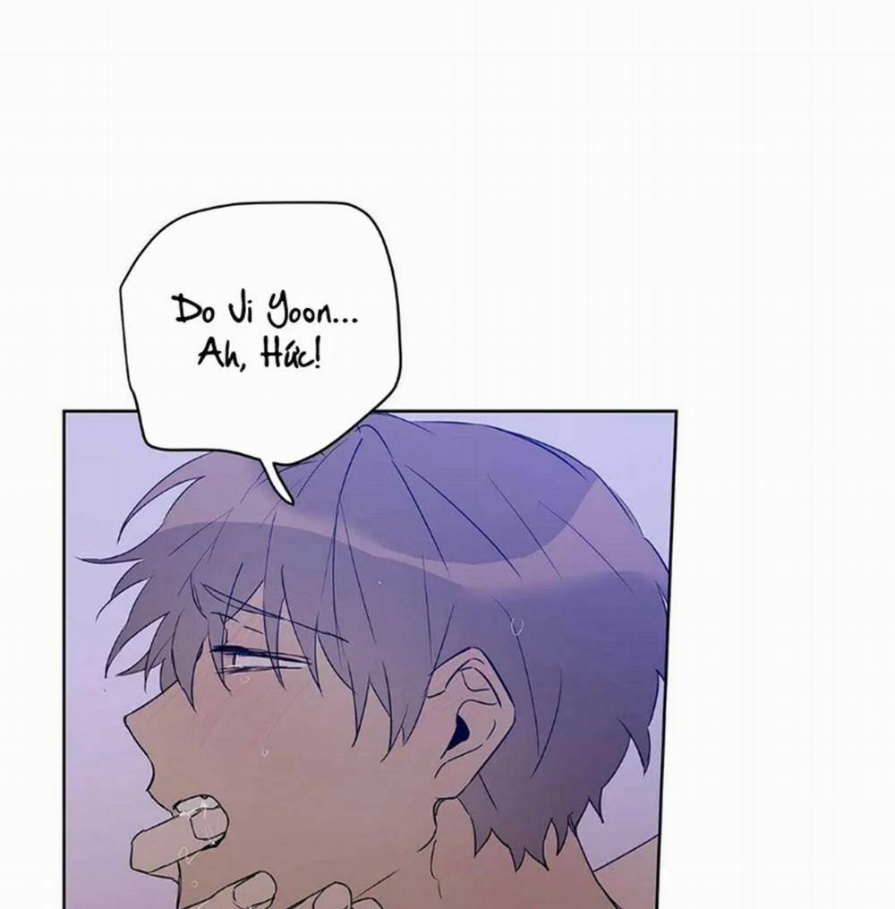 Guide Cấp B 22 trang 30