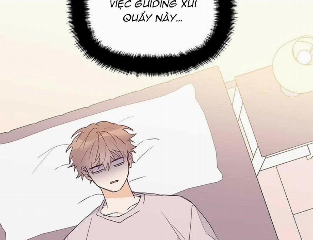 Guide Cấp B 22 trang 41