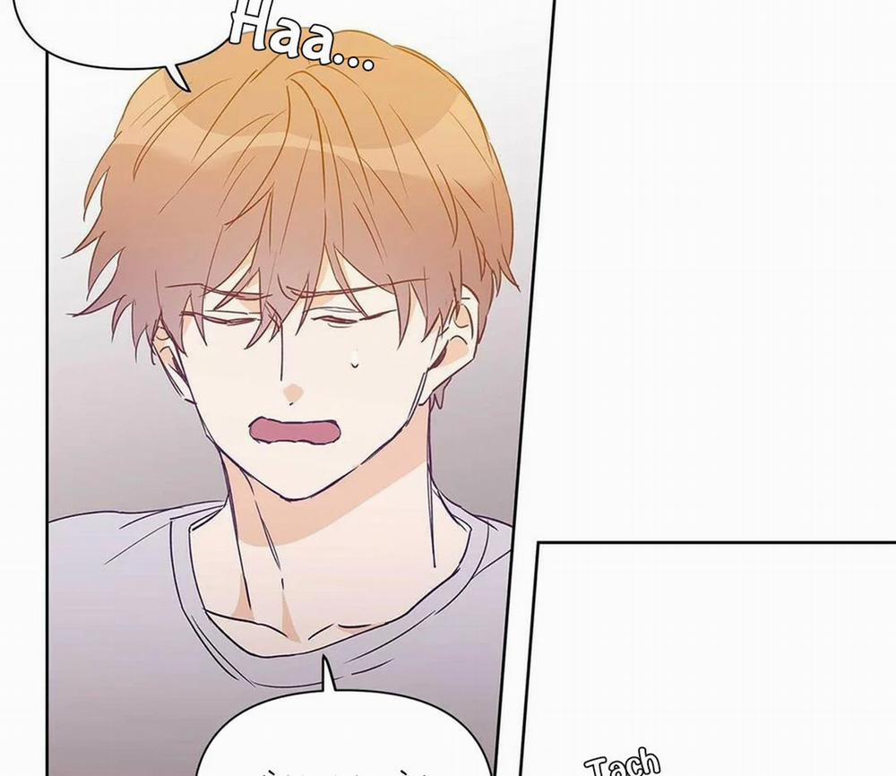 Guide Cấp B 23 trang 45