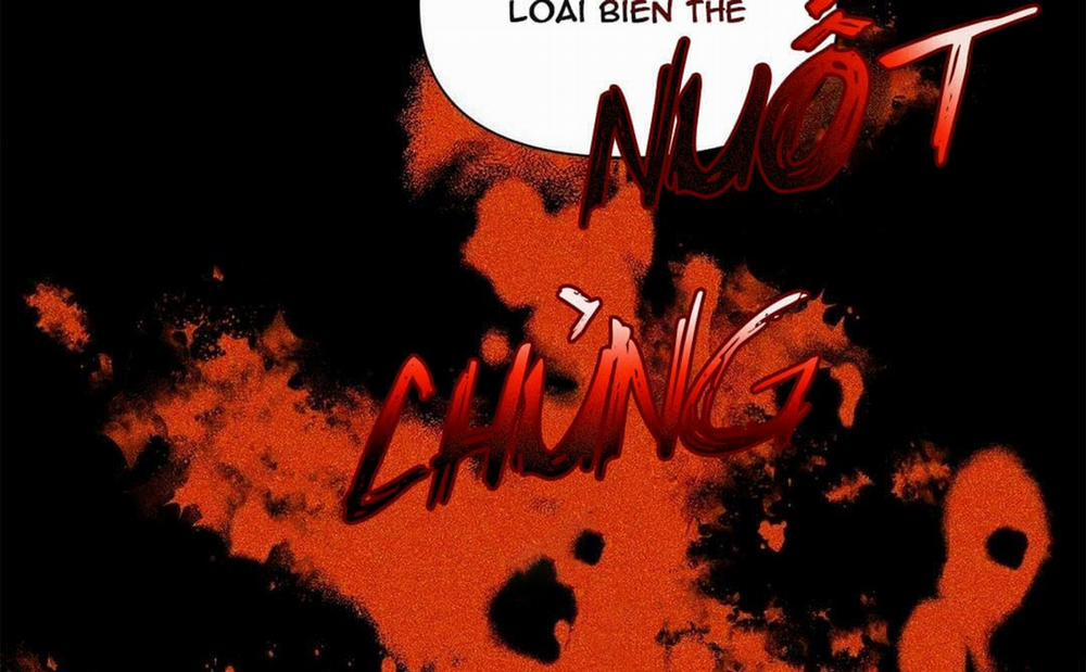 Guide Cấp B 26 trang 22