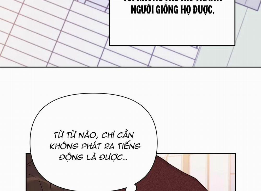 Guide Cấp B 27 trang 15