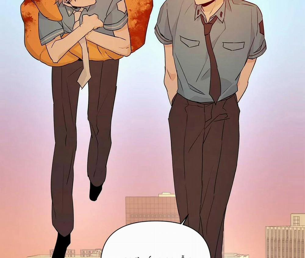 Guide Cấp B 27 trang 48